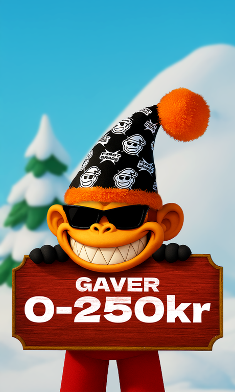 Gaver under 250 kr