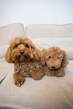 Jas & Mika Baloo Bamse Limited