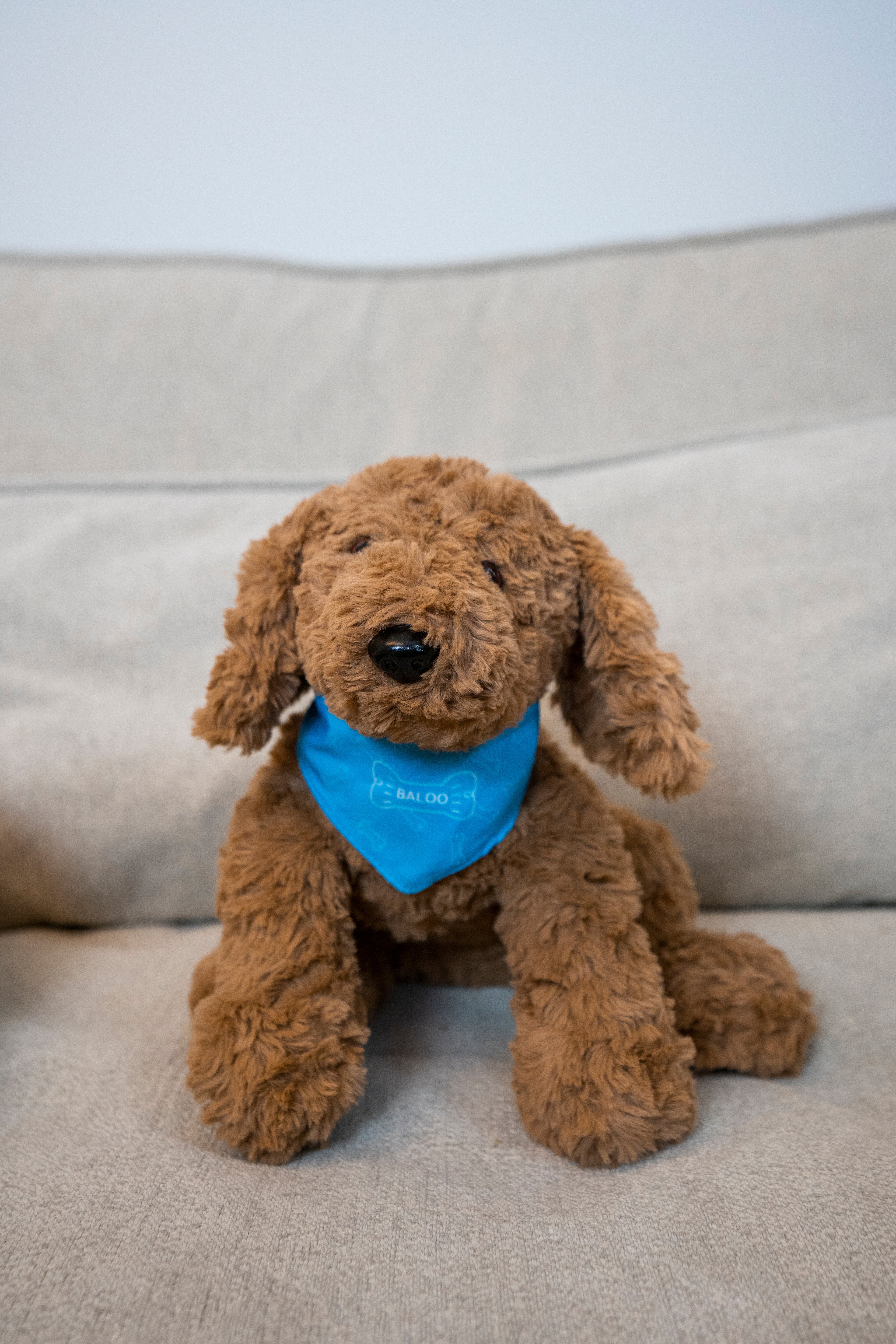 Jas & Mika Baloo Bamse Limited