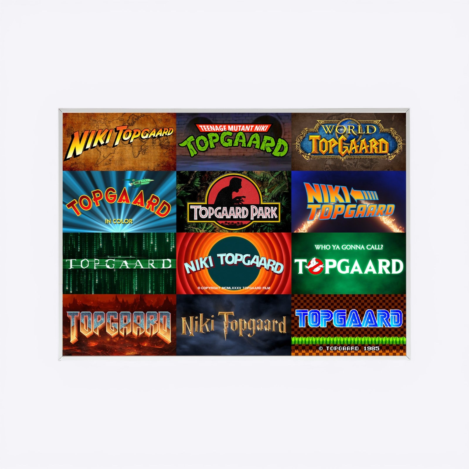 Niki Topgaard Film plakat