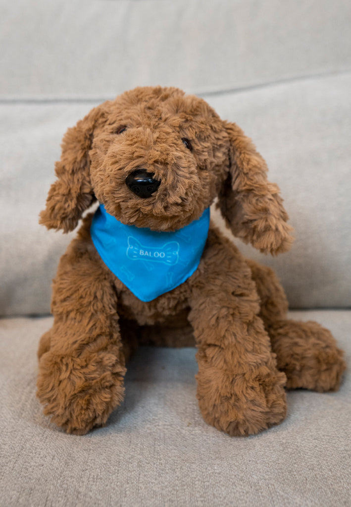 Jas & Mika Baloo Bamse Limited