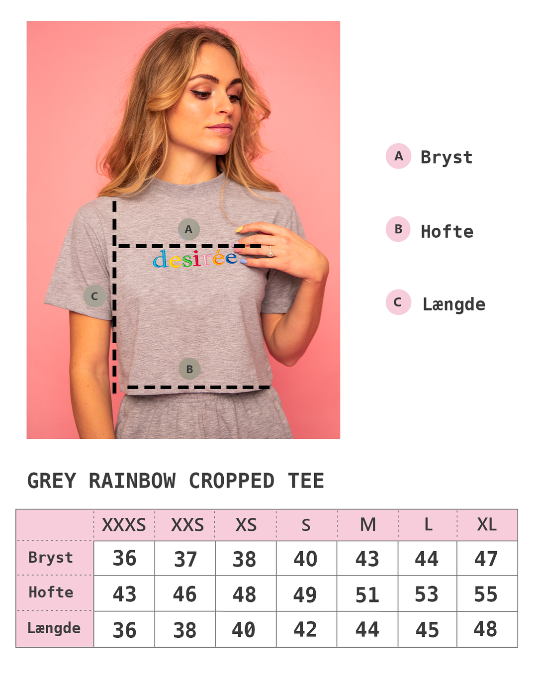 Gray Rainbow Cropped Tee